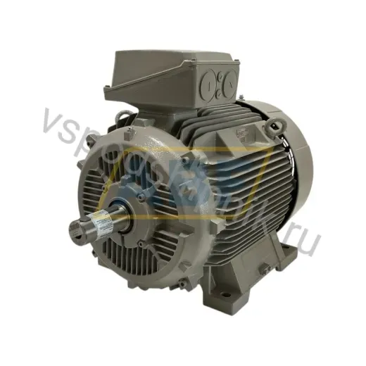 Электродвигатель 1TZ9503-2DA02-2AB4-Z Lönne