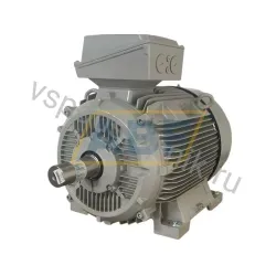 Электродвигатель 1TZ9503-3AC03-4AB4-Z Lönne
