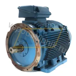 Электродвигатель 250K32CI0355M/L6B3 WEG, 250 кВт
