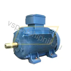 Электродвигатель 315K32CI0355M/L6B3 WEG, 315 кВт