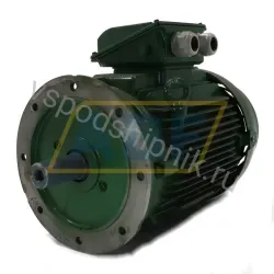 Электродвигатель 37K32CI3200L2B5 WEG, 37 кВт