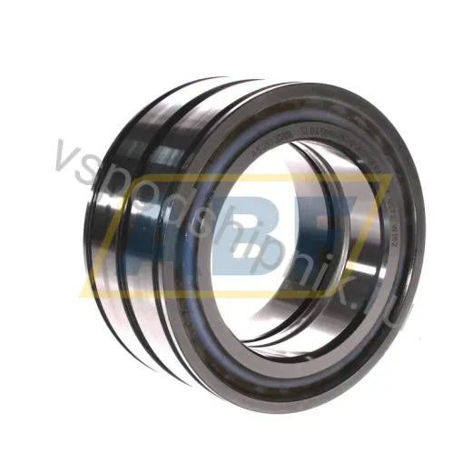 Подшипник роликовый цилиндрический двухрядный SL045019-D-PP-C3 INA