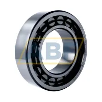 Подшипник роликовый тороидальный CARB C2220/C3 SKF