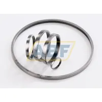 Комплектующие корпуса подшипника F-557098.DRG INA
