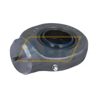 Наконечник шарнирный GK40-DO-C INA