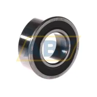 Подшипник шариковый самоустанавливающийся двухрядный 2207E-2RS1TN9 SKF