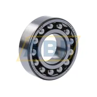 Подшипник шариковый самоустанавливающийся двухрядный 1205ETN9/C3 SKF