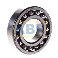 Подшипник шариковый самоустанавливающийся двухрядный 1207EKTN9 SKF