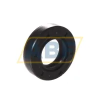 Манжета резиновая двухкромочная с пружиной TC15X28X7 NAK Sealing Technologies