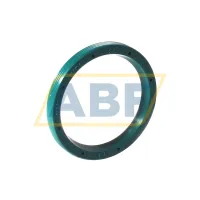 Манжета резиновая однокромочная без пружины VG30X37X4 NAK Sealing Technologies