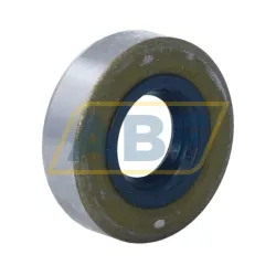 Уплотнение 15X35X10CRS13R SKF