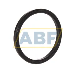 Уплотнение PTB187-2625-281-J1S SKF