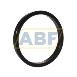 Уплотнение PTB250-4375-562-J1S SKF
