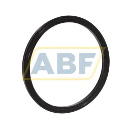 Уплотнение STD250-3875-250-J1S SKF