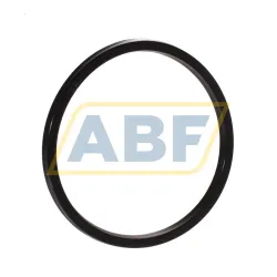 Уплотнение STD250-4375-250-J1S SKF