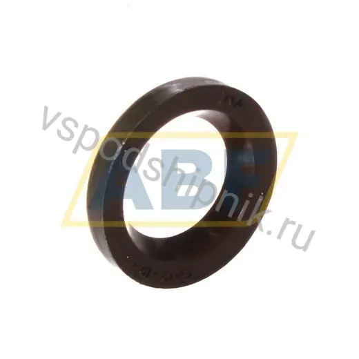 Уплотнение GR12X19X3-FPM INA