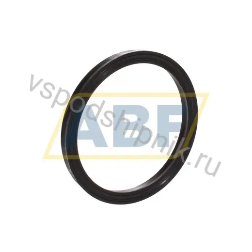 Уплотнение DP187-2500-250-J1S SKF