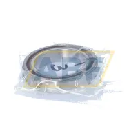 Подшипник шариковый радиально-упорный однорядный 71805CDGA/P4 SKF