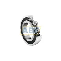 Подшипник шариковый радиальный однорядный 6316-2RSR-J20AA FAG