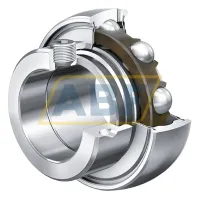 Шариковый подшипник RAE20-NPP-B INA