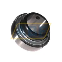 Подшипниковый узел GYE60-KRR-B-FA107 INA