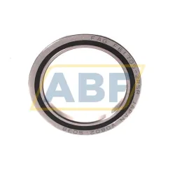Подшипник шариковый радиальный однорядный F61705-2RSR-HLC FAG