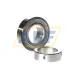 Подшипниковый узел RAE45-XL-NPP-FA106 INA