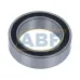 Подшипник шариковый радиально-упорный двухрядный 3805-2RS INA