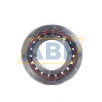 Подшипник шариковый радиально-упорный однорядный HC7004-C-T-P4S-UL FAG