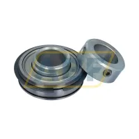 Подшипниковый узел RAE20-XL-NPP-NR INA