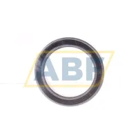 Подшипник шариковый радиальный однорядный 61702-2RSR-HLC FAG