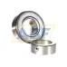 Подшипниковый узел RAE25-XL-NPP-FA106 INA