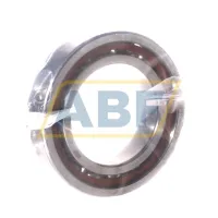 Подшипник шариковый радиально-упорный однорядный B7009-E-T-P4S-H146BA-UL FAG