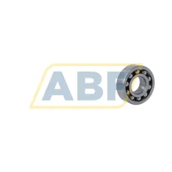 Самоустанавливающийся шариковый подшипник двухрядный 1202ETN9 SKF