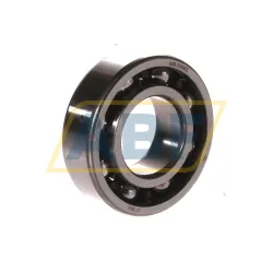 Подшипник шариковый радиальный однорядный 6205ETN9/C3 SKF