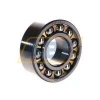 Самоустанавливающийся шариковый подшипник двухрядный 2309EM SKF