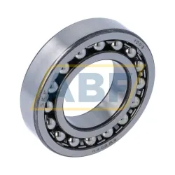 Самоустанавливающийся шариковый подшипник двухрядный 1209 SKF