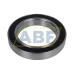 Подшипник шариковый радиально-упорный однорядный S7020CDGA/VQ6481 SKF
