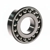 Самоустанавливающийся шариковый подшипник двухрядный 1309ETN9 SKF