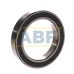 Подшипник шариковый радиальный однорядный 61910-2RS Timken