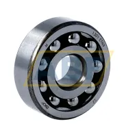 Самоустанавливающийся шариковый подшипник двухрядный 1301ETN9 SKF