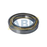 Подшипник шариковый радиальный однорядный 6030M/C4 SKF