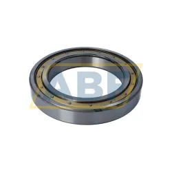Подшипник шариковый радиальный однорядный 6030M/C4 SKF