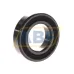 Уплотнение 6006-2RS1/C3 SKF