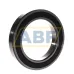 Подшипник шариковый радиальный однорядный 6020-2RS Timken