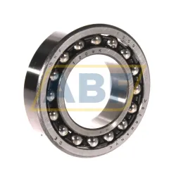 Самоустанавливающийся шариковый подшипник двухрядный 1209K SKF