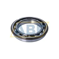 Подшипник шариковый радиальный однорядный 6024NR SKF