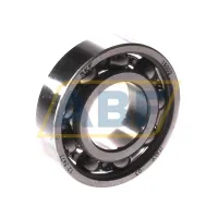 Подшипник шариковый радиальный однорядный 16002 SKF