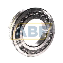 Самоустанавливающийся шариковый подшипник двухрядный 1219 SKF