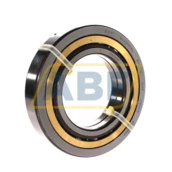 Четырёхточечный шариковый подшипник QJ220N2MA SKF